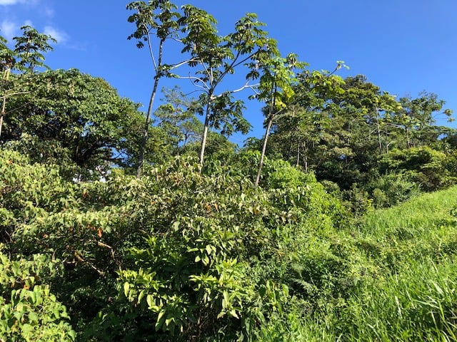 1.24 ACRES – Alto de San Juan, TOP OF THE WORLD VIEWS, Cool Breezes, Ready to Build Your Dream!!!!!