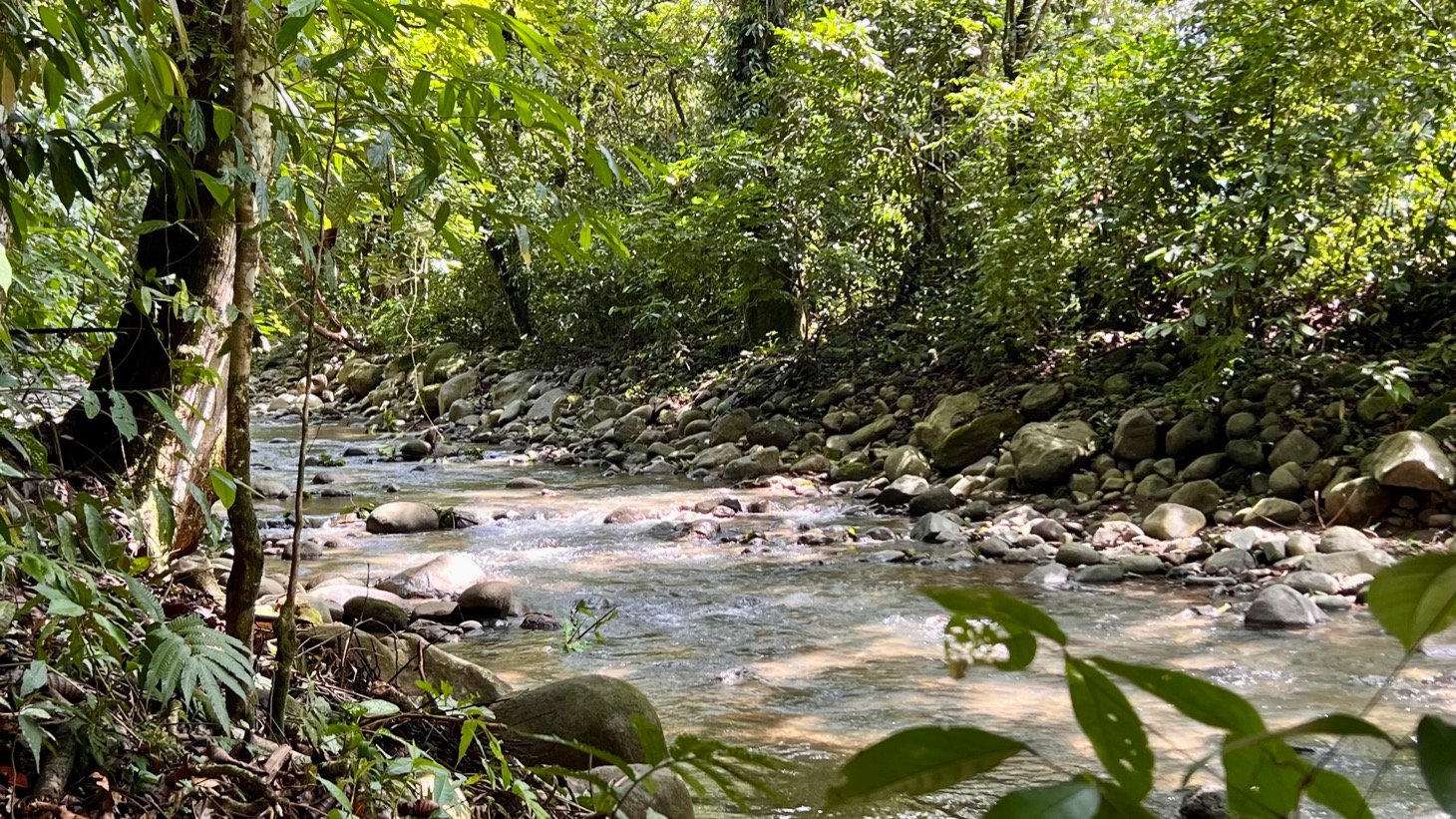 Tropical River Property with Cabinas, Pool & Event Space in Ojochal