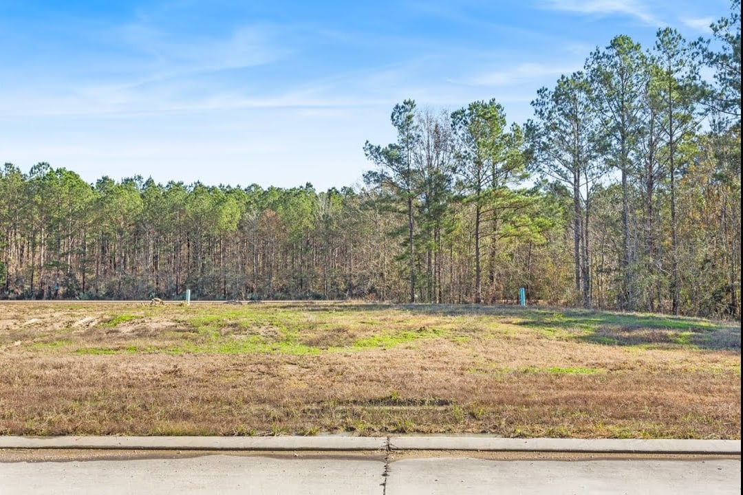 Lot 111 Southshire Subdivision, Livingston, LA