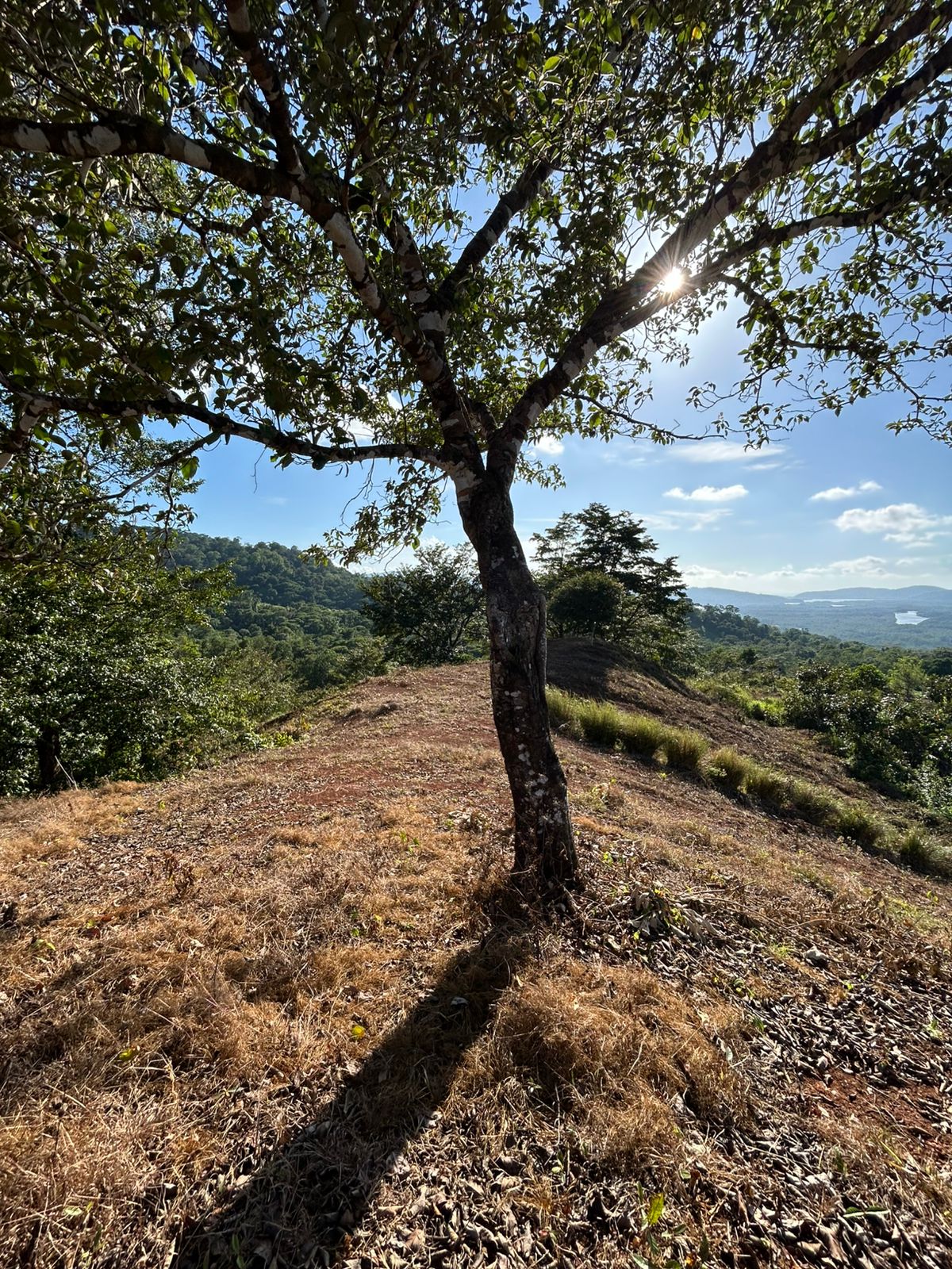 67 acres development (15 titled lots) with breathtaking views in Sierpe