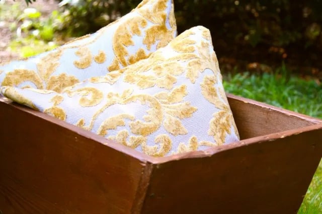 Yummy Pillows!