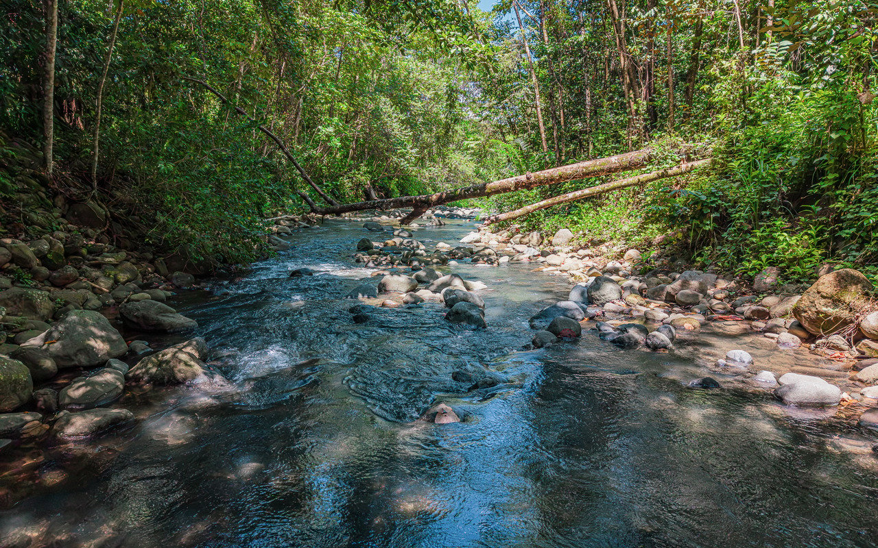Unique Riverfront Home With Prime Location in Uvita