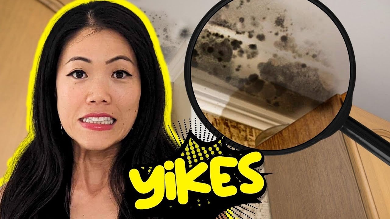 The Buyer Finds MOLD In The Home They Just Bought! - What Do You Do!?