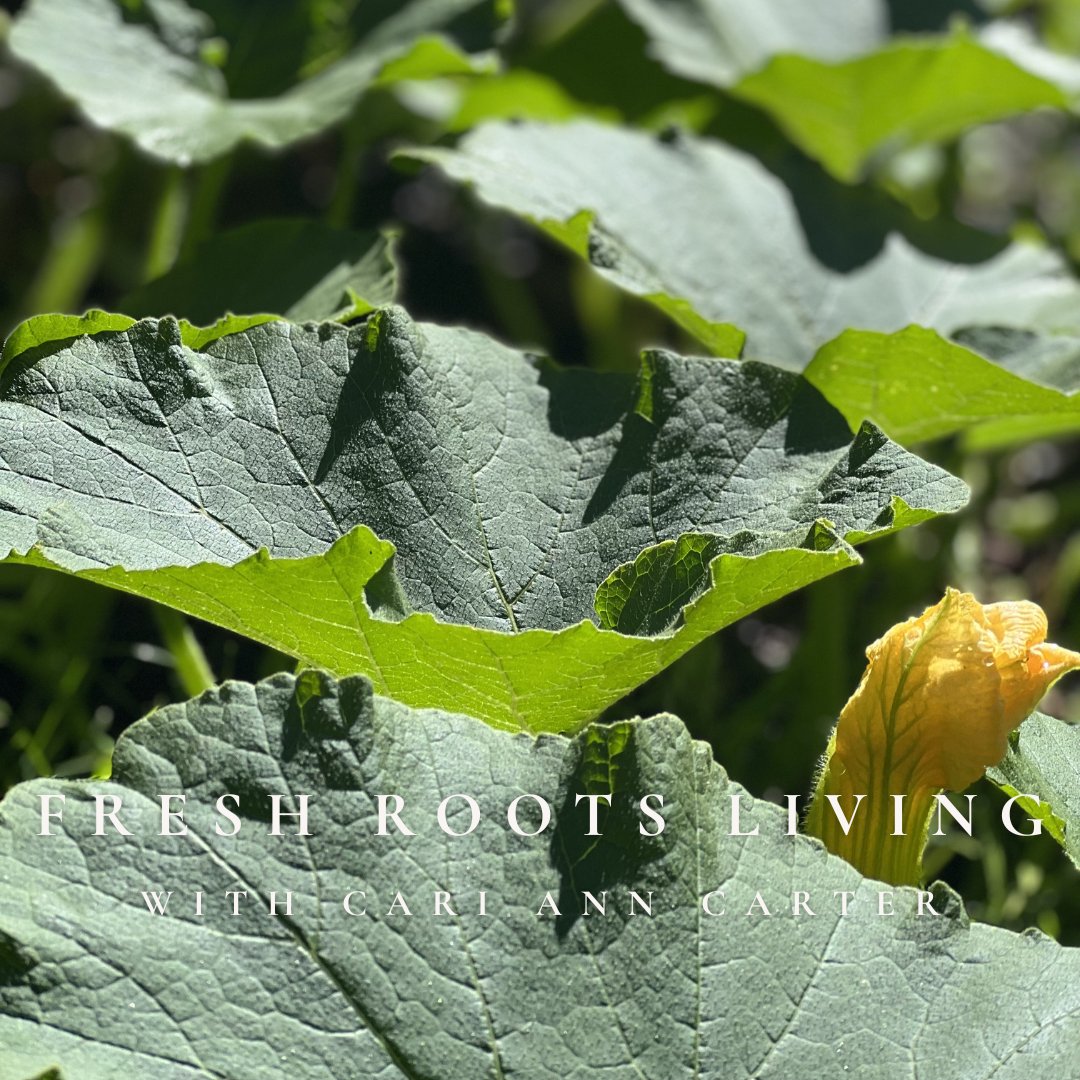 Right-Sizing Your Garden