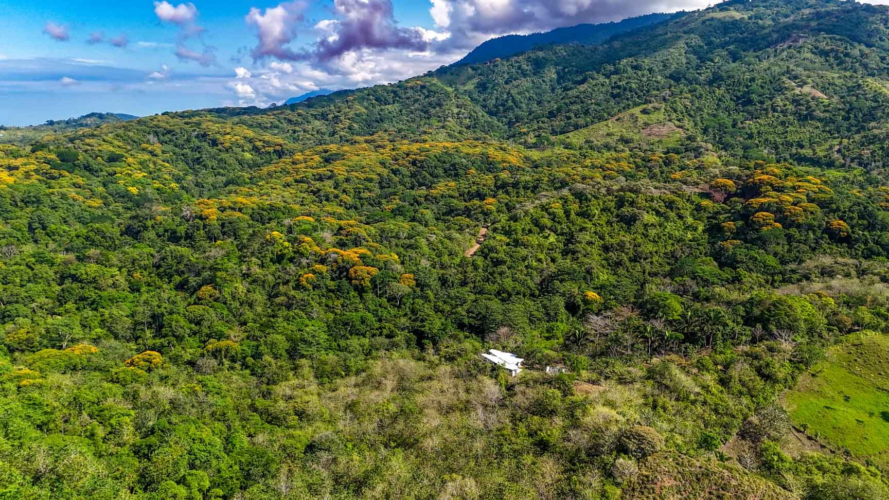 32-Acre Self-Sustainable Off-Grid Farm Near Ojochal with House, Solar Power & River