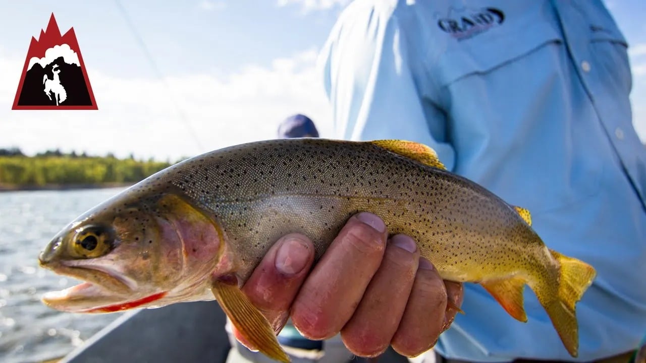 Fly Fishing in Jackson Hole