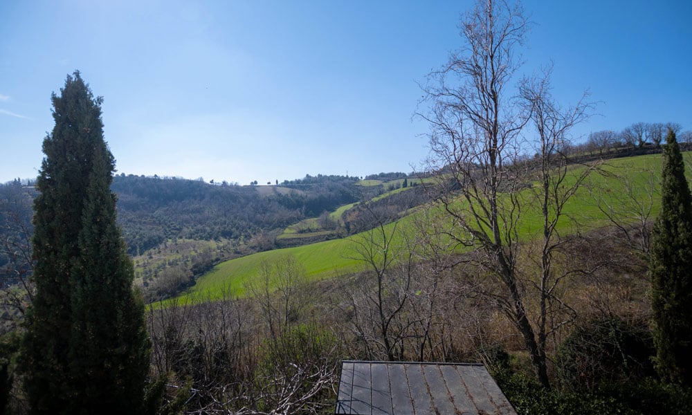Matching Home & Business Near Fano 