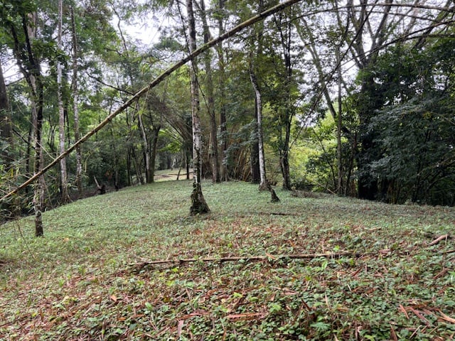 17.85 ACRES – Stunning Large Land With 2 Waterfalls Near Dominical Beach!!!
