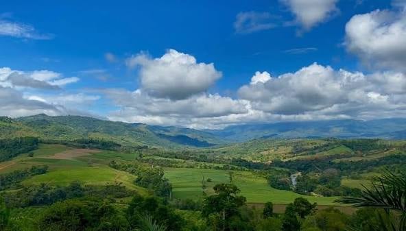 Prime Development Opportunity | 49 Hectares (121.5 Acres) | Platanillo – Tinamastes