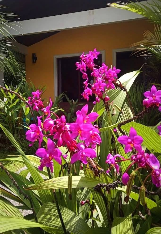 LakeGardens Arenal Condos: Furnished Villas for Sale from $99,900 to $159,000 | Lake Arenal, Costa Rica