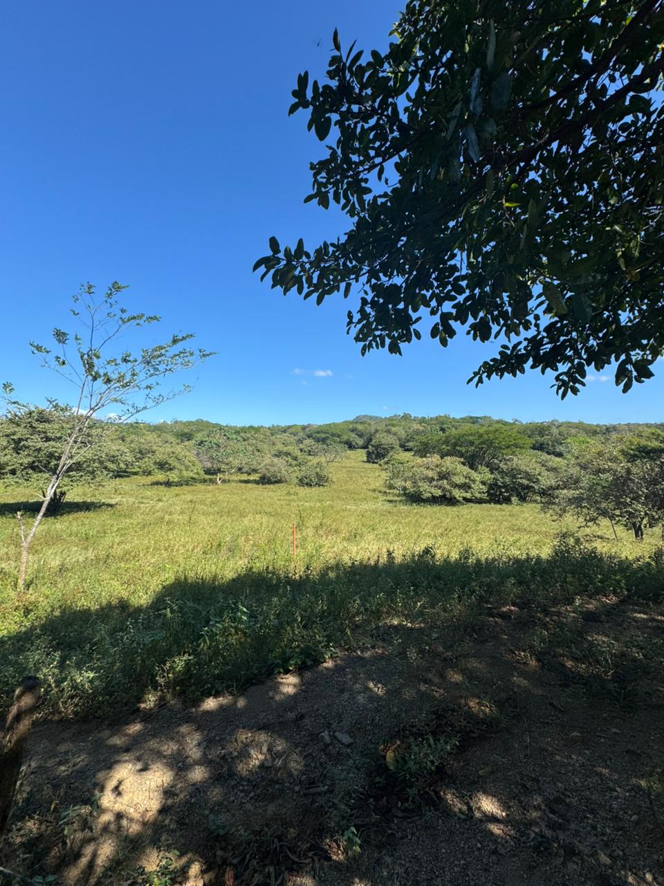 Shambala Estates Lot, Playa Avellanas