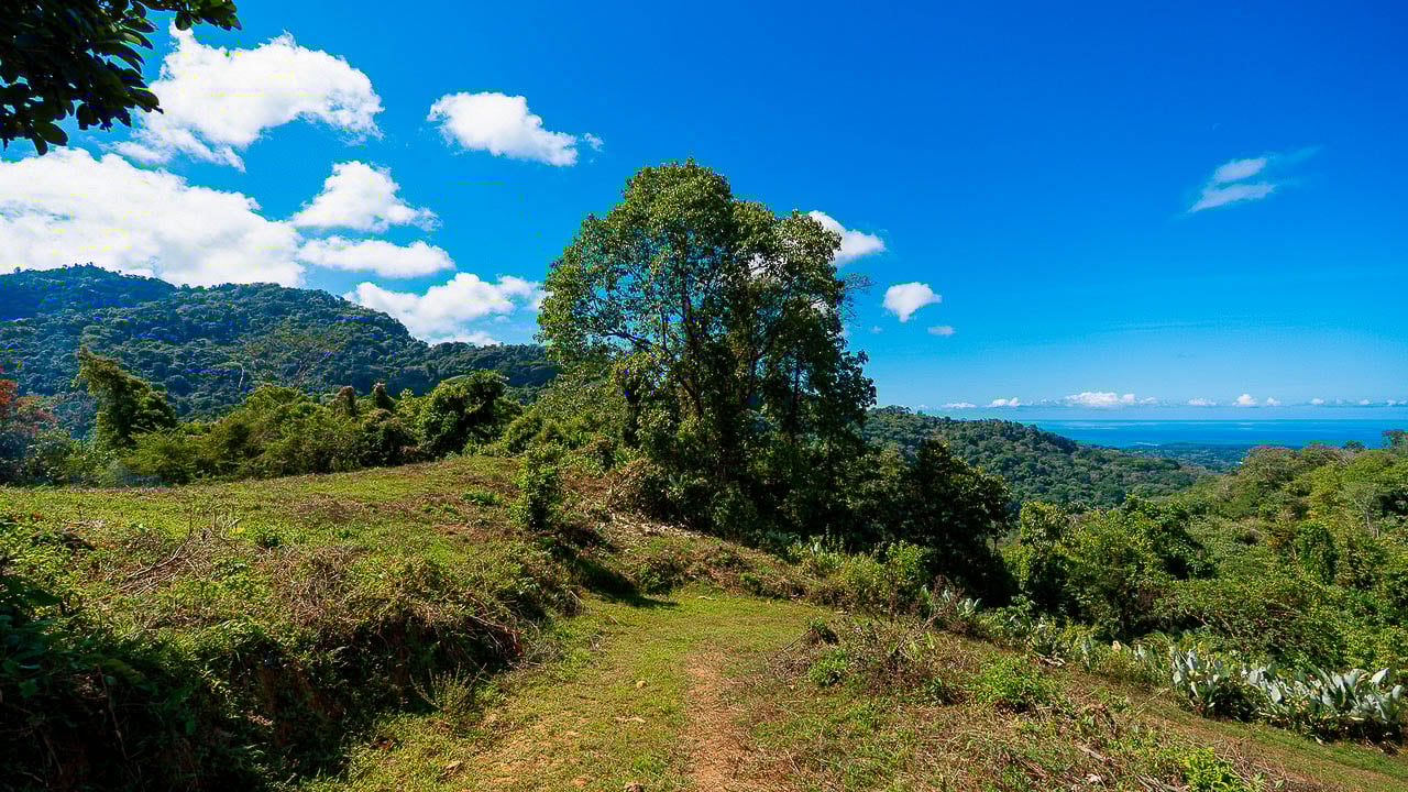 Whale Tail Views Luxury Waterfall Farm