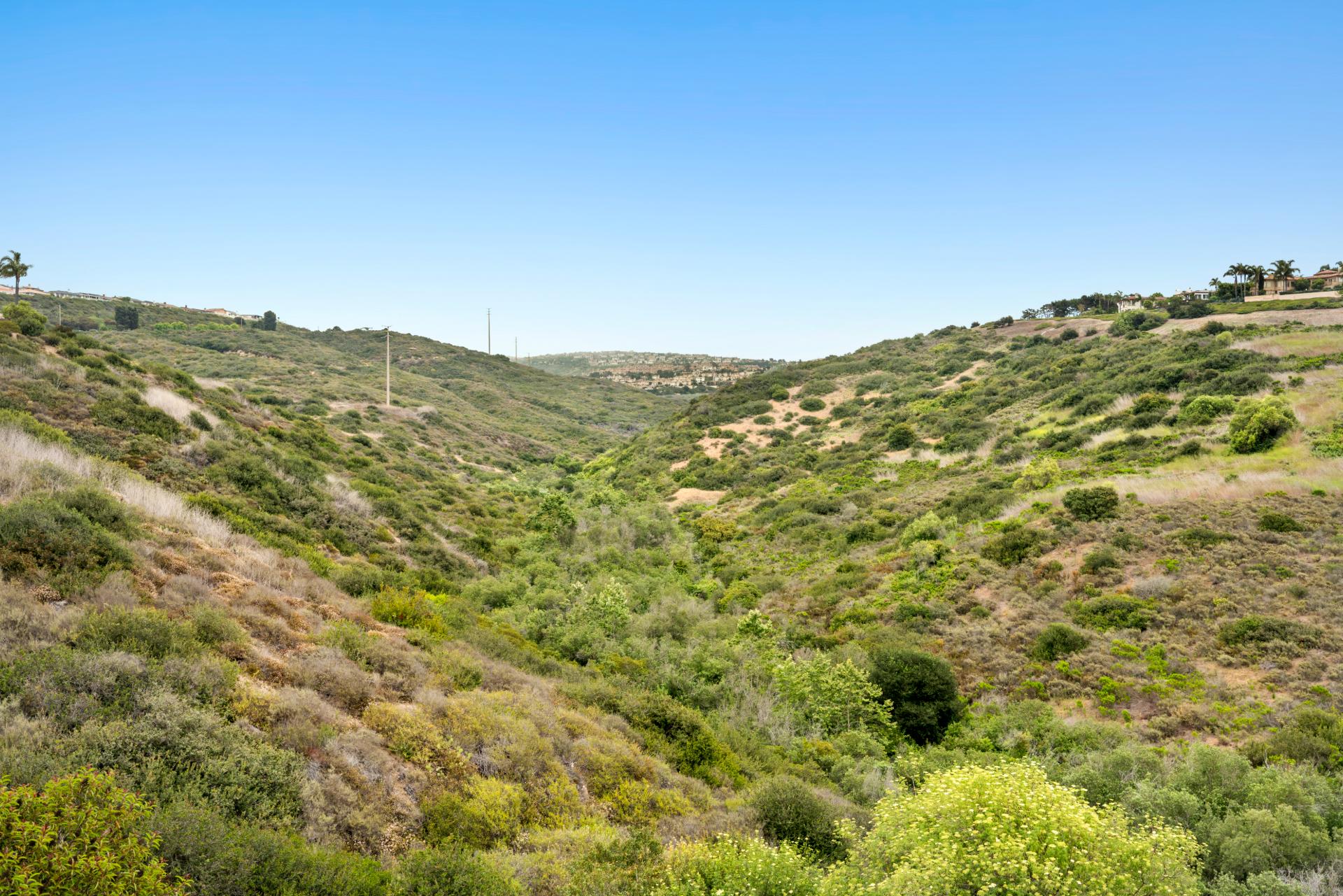 1606 Reef View Circle