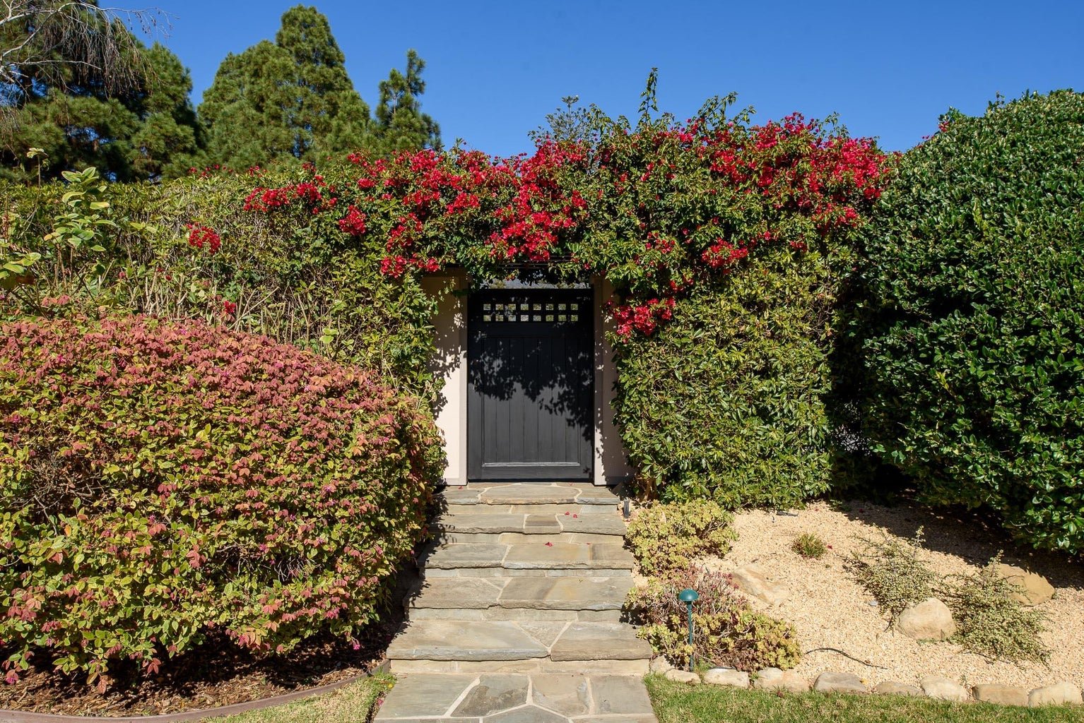 1533 Sinaloa Drive