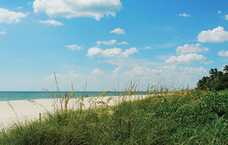 Dunes At Sanibel Island