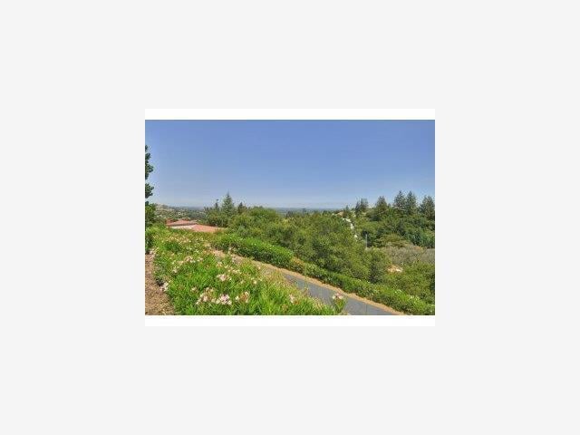 21388 SARAHILLS Dr