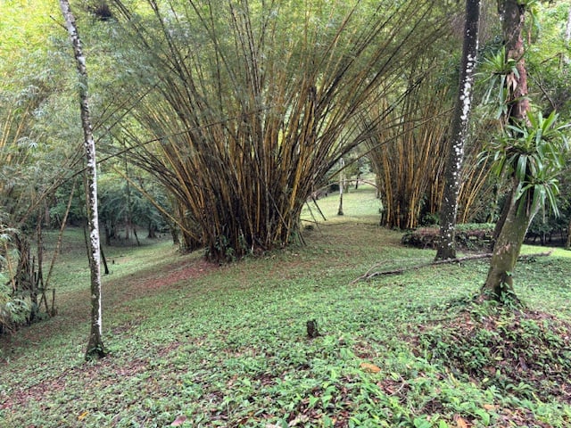 17.85 ACRES – Stunning Large Land With 2 Waterfalls Near Dominical Beach!!!