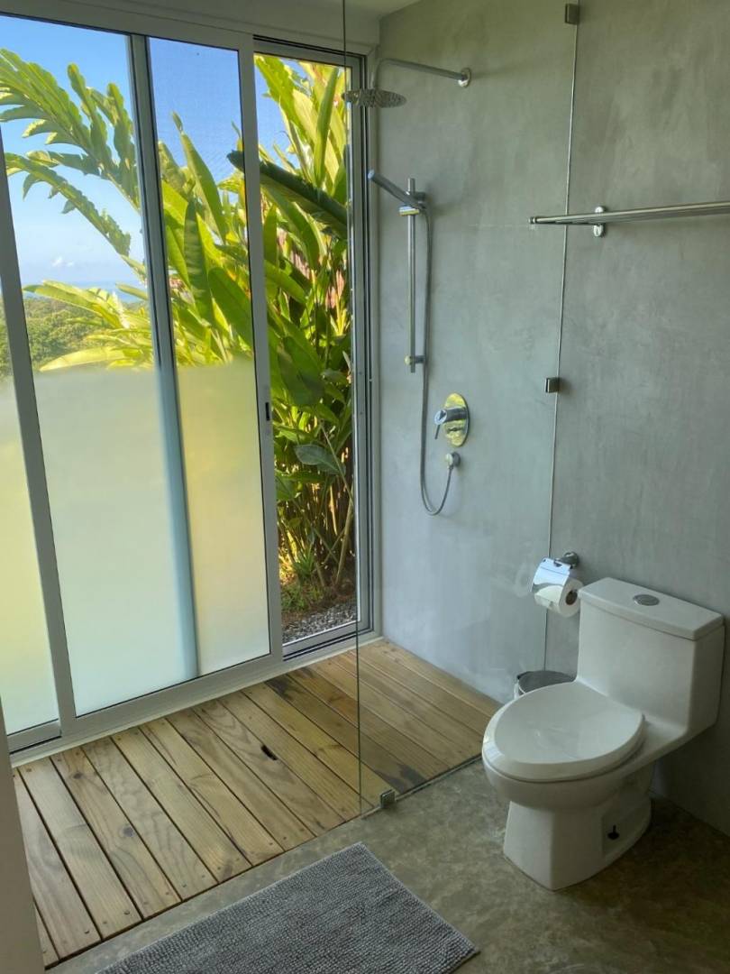 Terra Lodge - Income producing property with two apartments, swimming pool and 1 bedroom home.