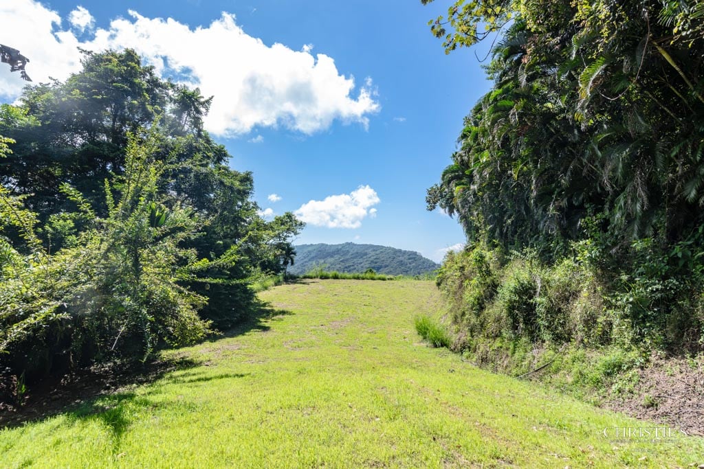 A Rare Thermal-Wellness Development Opportunity - Cacao Estates