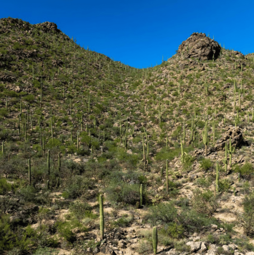 Hacienda - Lot #2 - 14470 N Old Saguaro Ranch Road