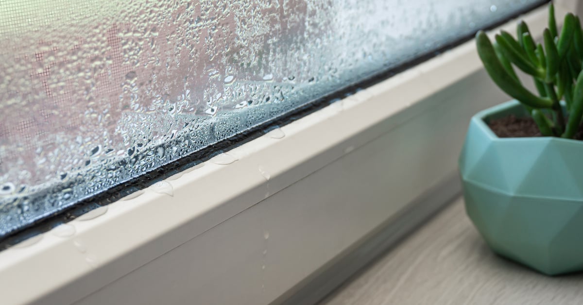 Close up of severe condensation on a window and sill, showing excess indoor humidity that can concern home buyers in winter.