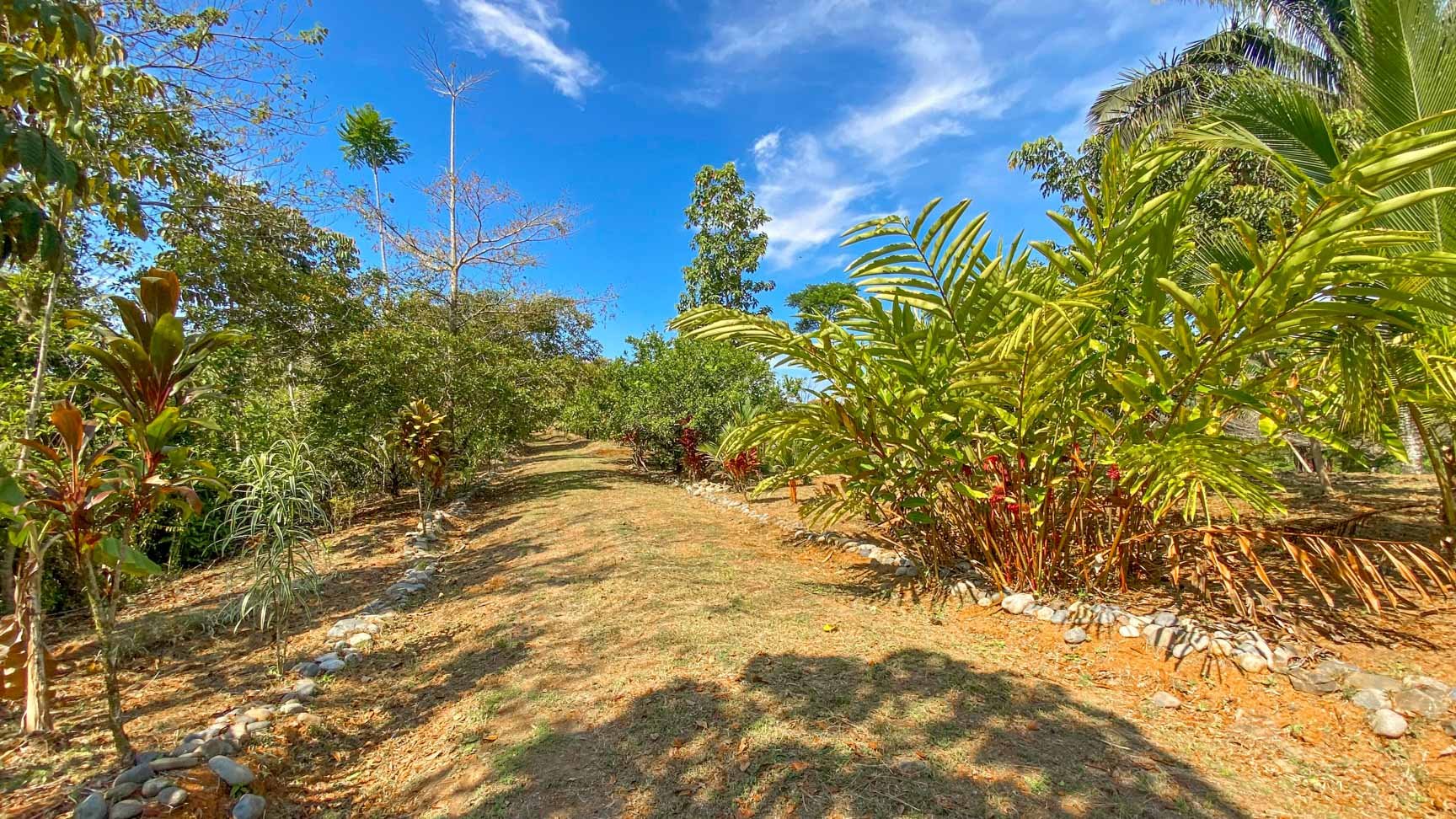 32-Acre Self-Sustainable Off-Grid Farm Near Ojochal with House, Solar Power & River