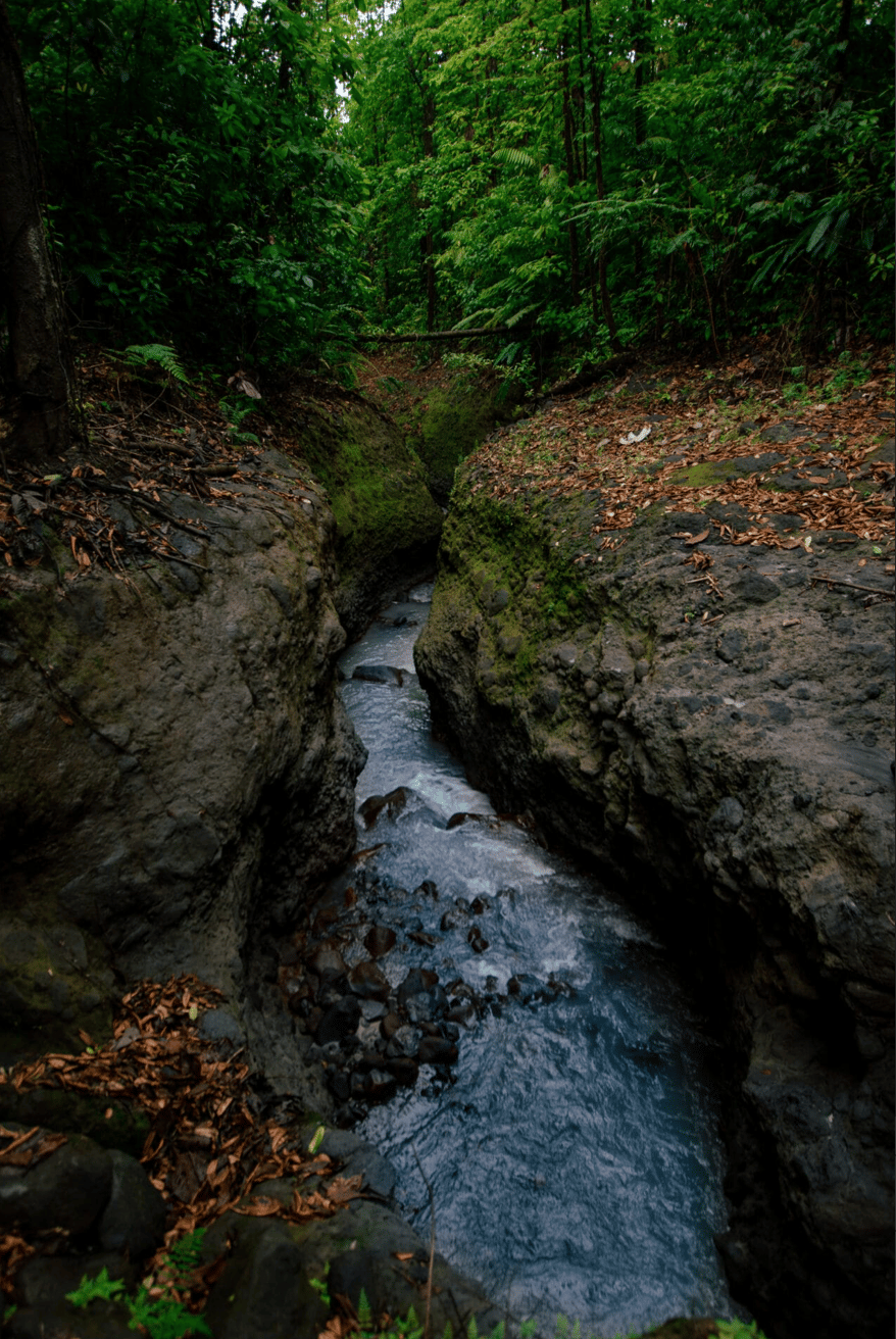 Finca Rincon De La Vieja, 61 Acre Costa Rican Paradise