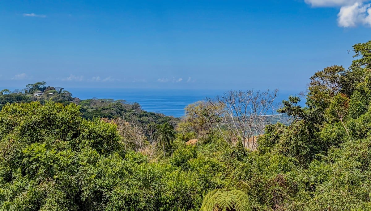 3.64 ACRES – 3 Bedroom Home With Expansive Ocean Views, Multiple Areas to Build, Public Road With Commercial Potential, 10min to the Beach!!