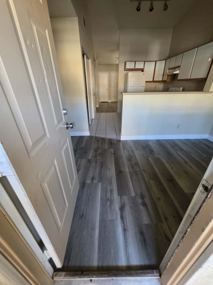 3849 Soda Springs Drive - 1