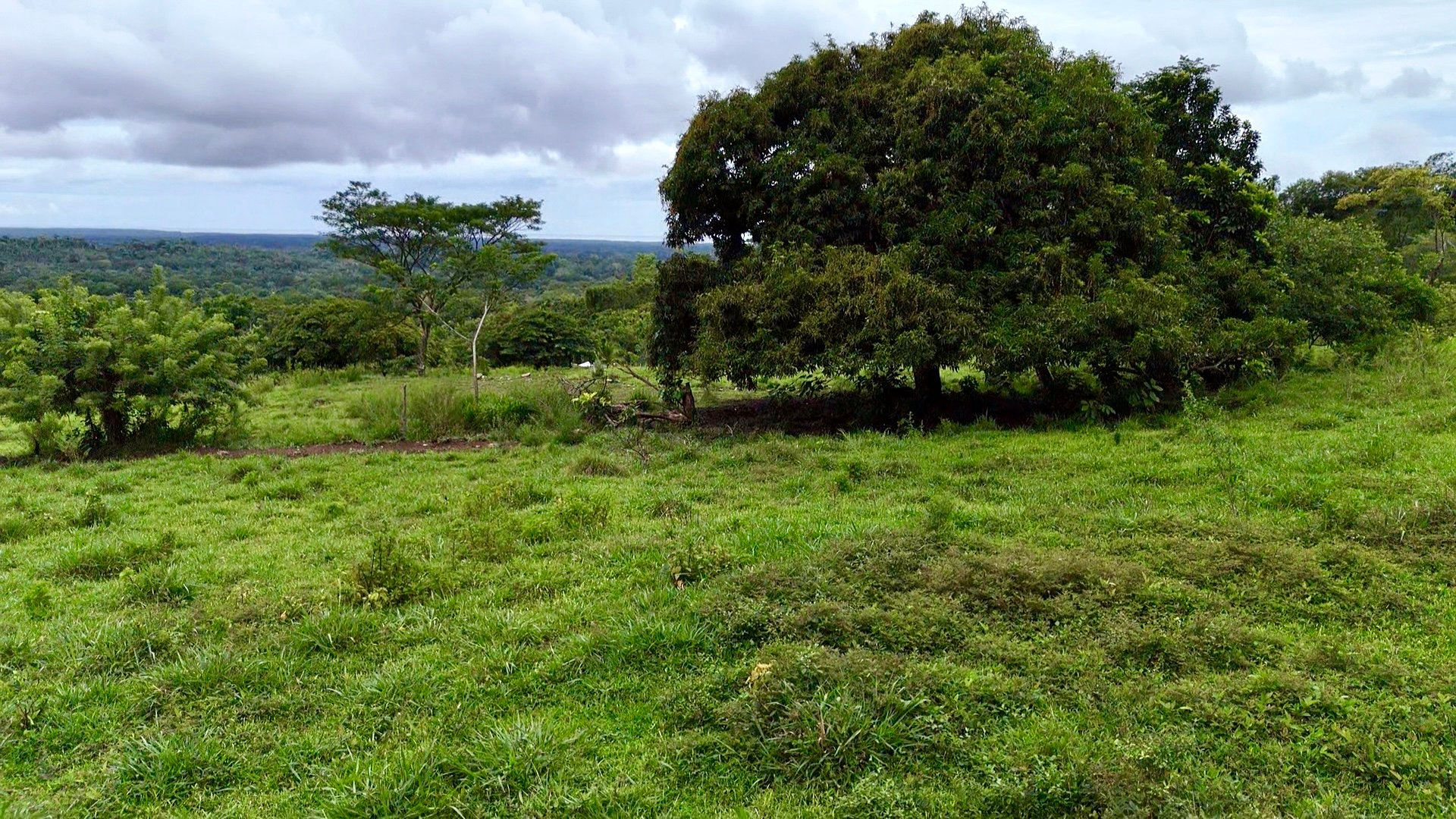 Ocean View Sanctuary in San Buenas – 4.94 Acres of Pastures & Easy Accessaccess
