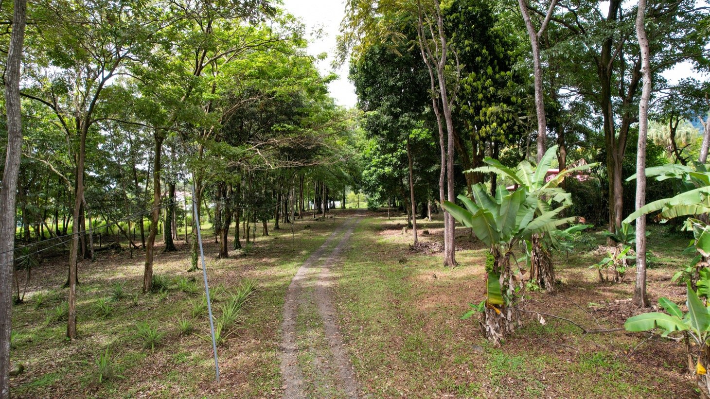 House for Sale in Ojochal, Costa Rica – Traditional Charm on 2.75 Acres