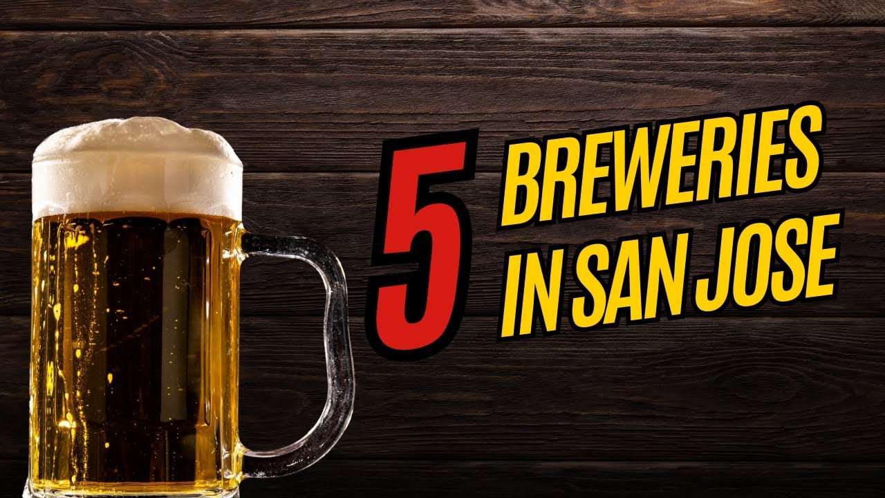 5 Bars Beer Lovers Go To in San Jose