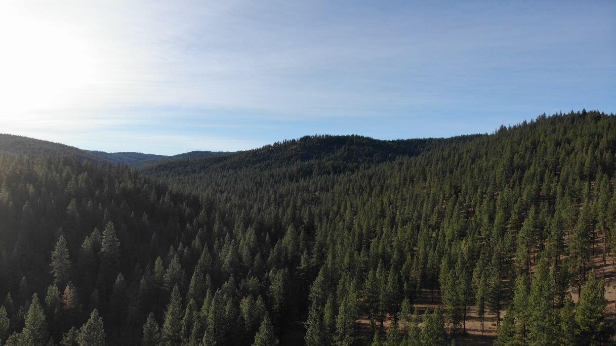 24302 Ochoco Ranger Station Rd