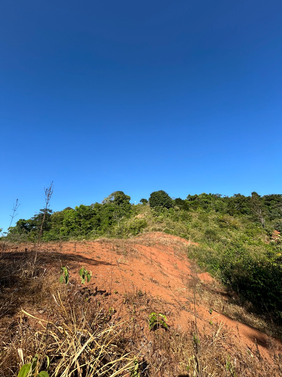 67 acres development (15 titled lots) with breathtaking views in Sierpe