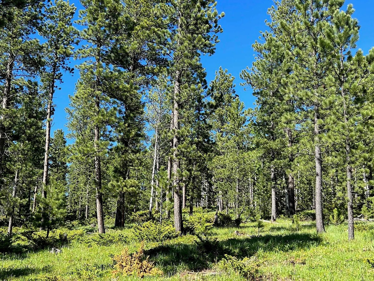 Lot 2 Boles Canyon Rd