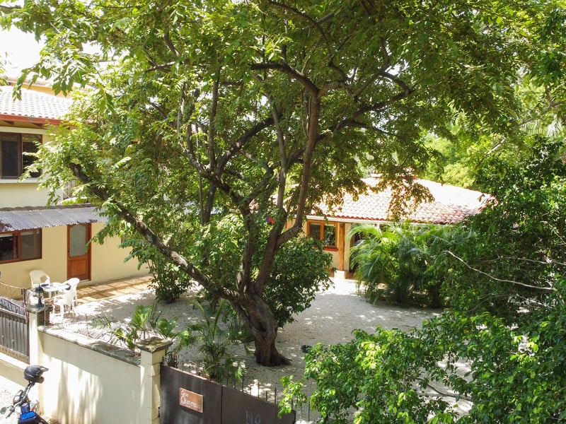 Casa Querencia | Prime Double-Lot Oasis with Rental Apartments in Playa Langosta, Tamarindo