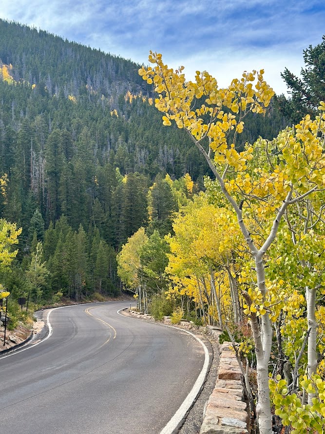 Where the Road Meets the Sky: Driving Trail Ridge Road