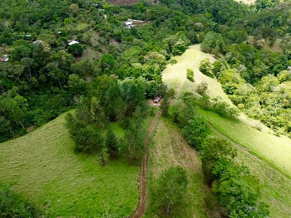 54 Acre Ranch in San Vito, Coto Brus