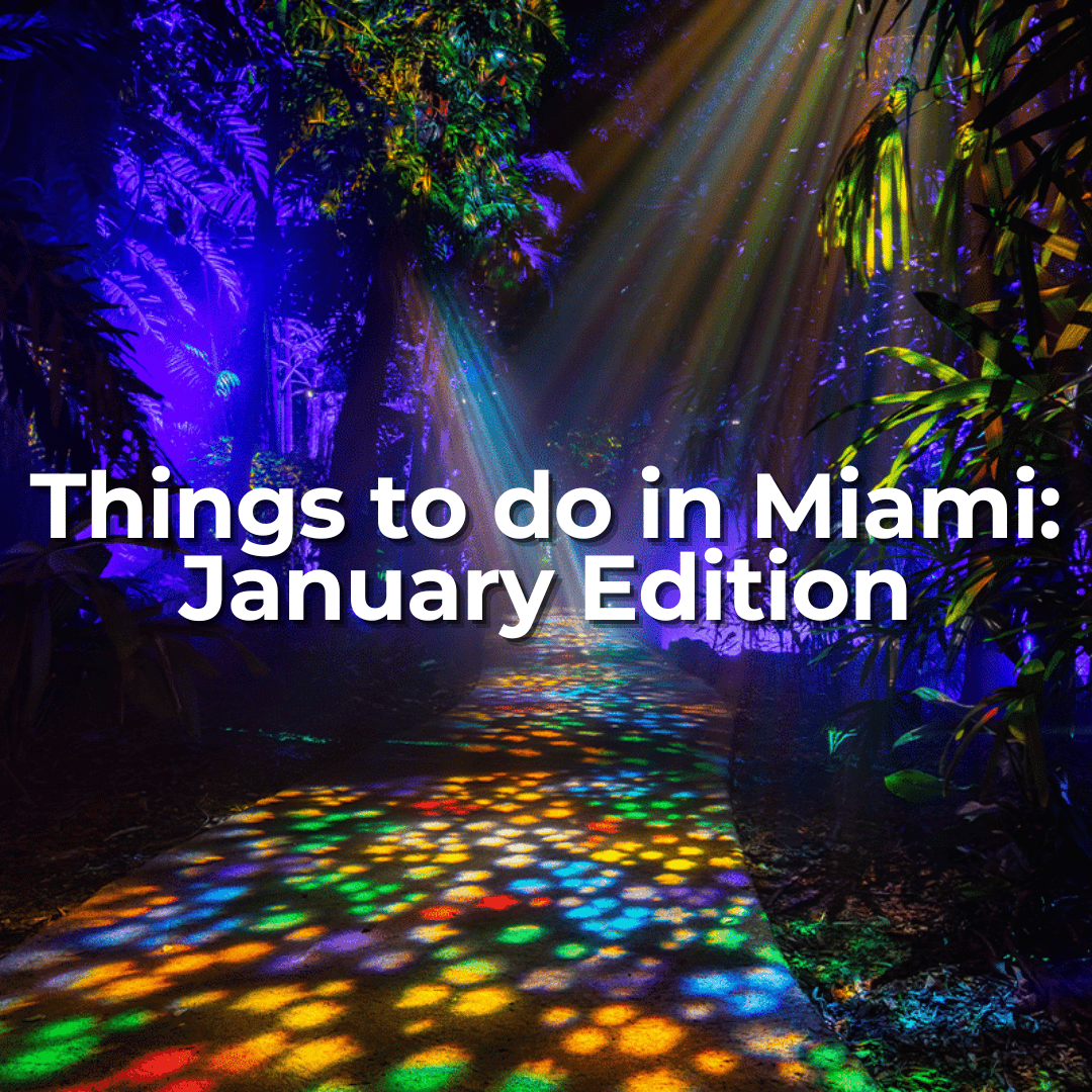 Things to do in Miami: January Edition