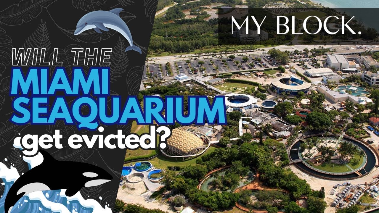 WILL THE MIAMI SEAQUARIUM GET EVICTED?