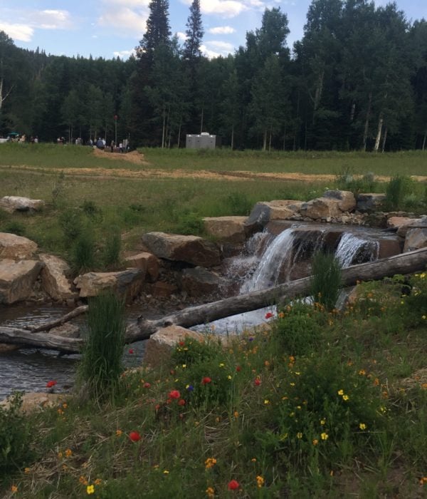 Music in the Meadows