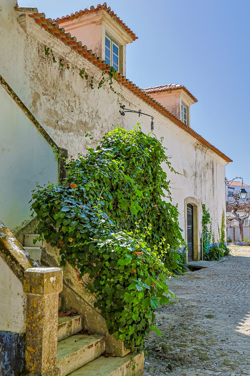 Magnificent 17th-Century Palace with  76,400 m² Estate Near Coimbra