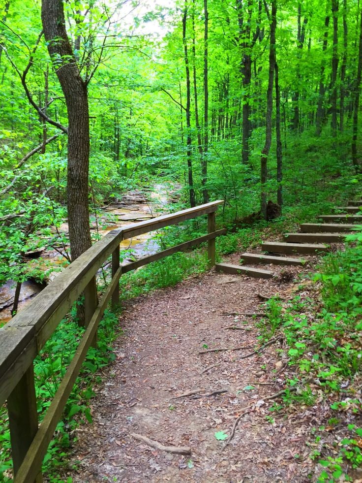 The Benefits of Living Near Parks and Green Spaces