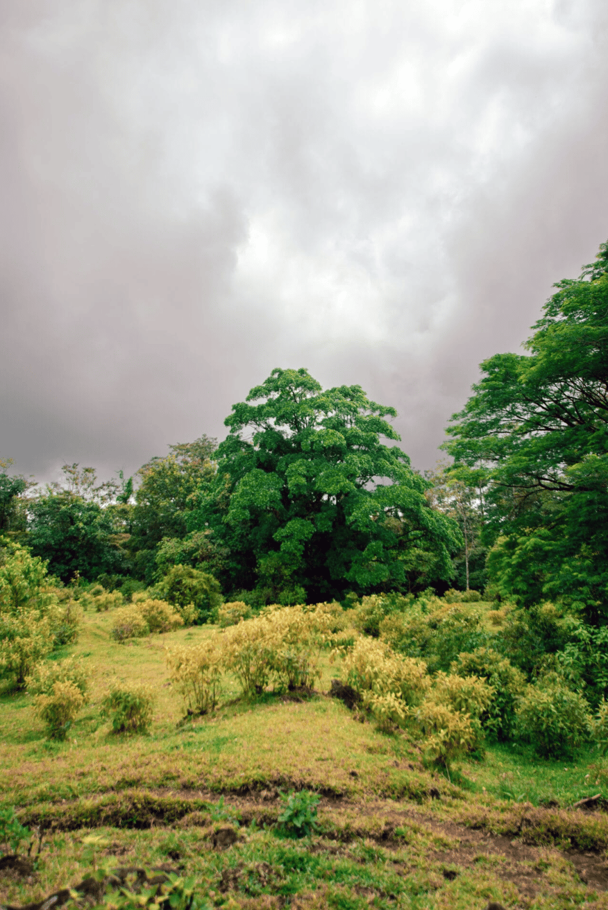 Finca Rincon De La Vieja, 61 Acre Costa Rican Paradise