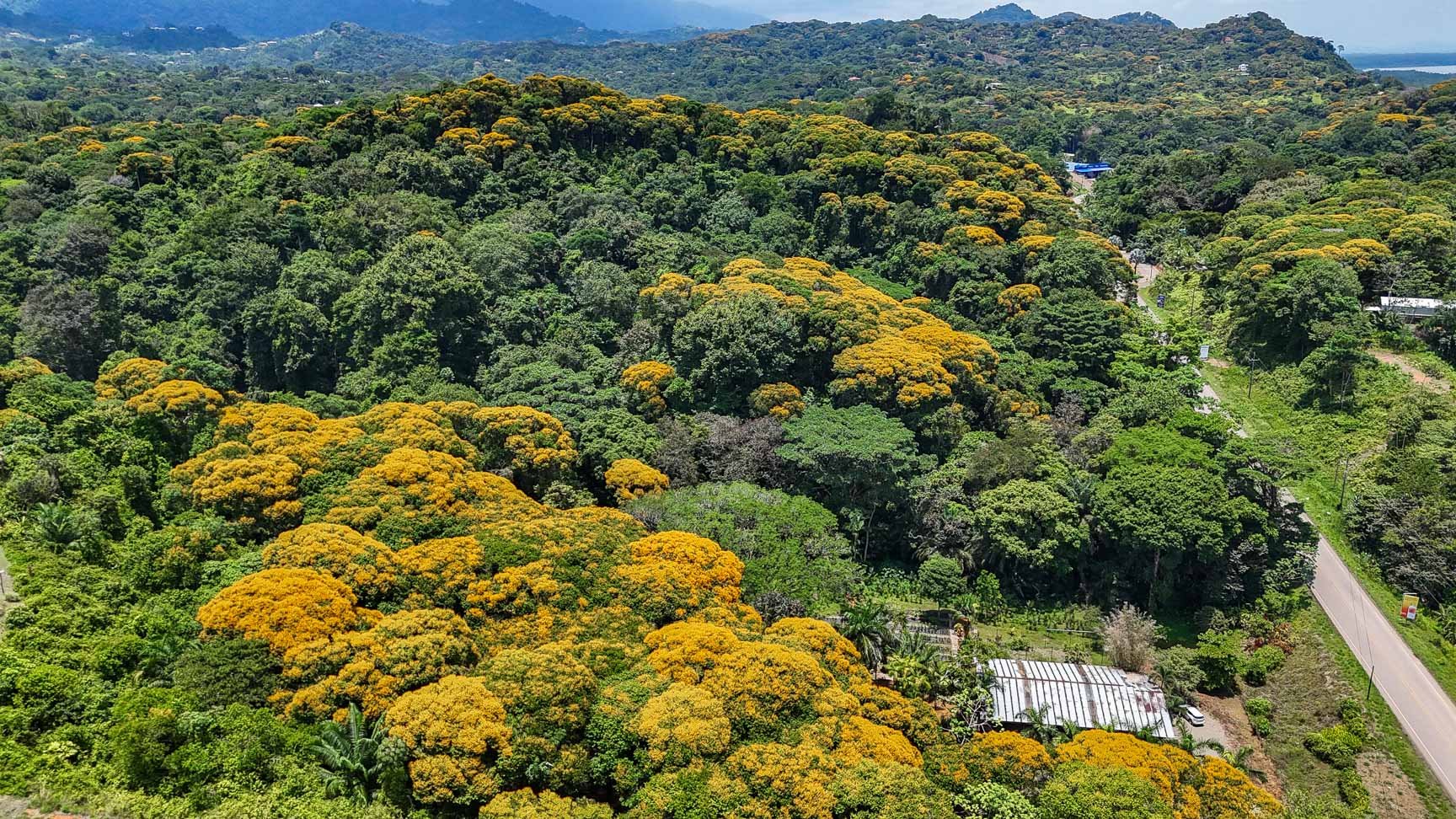 23-Acre Prime Highway Frontage Lot Near Ojochal & Ocean