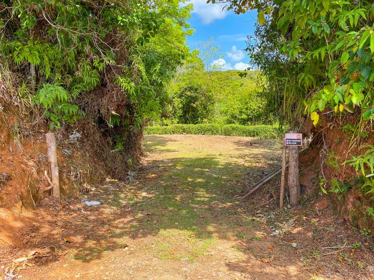 32-Acre Self-Sustainable Off-Grid Farm Near Ojochal with House, Solar Power & River