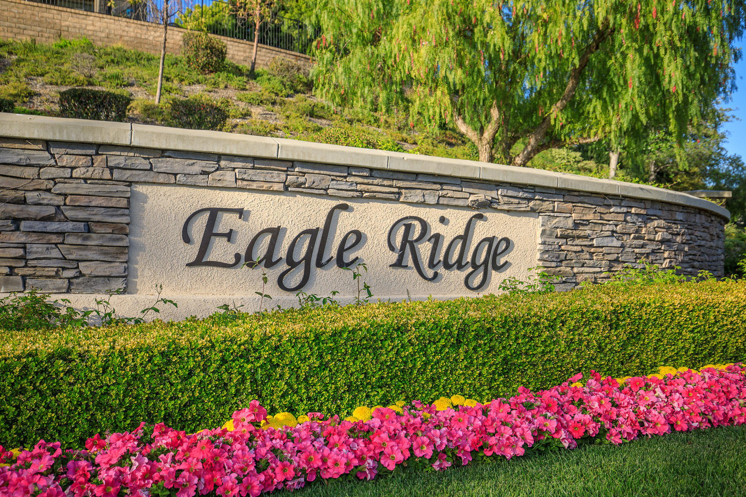 2924 Blazing Star Drive