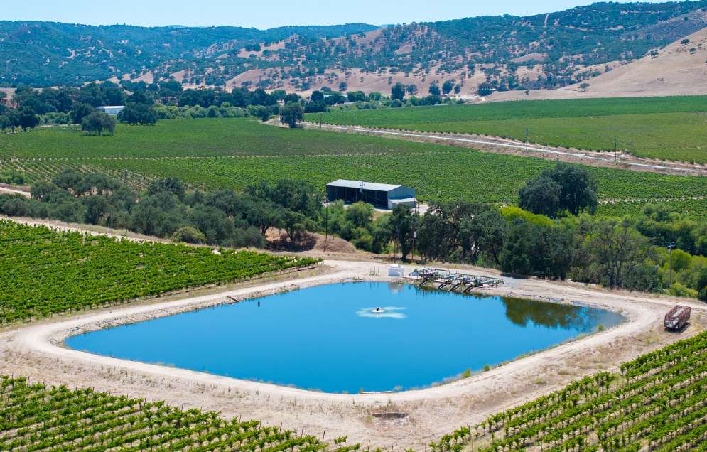 Joseph Vineyard | 76987 Nacimiento Lake Drive