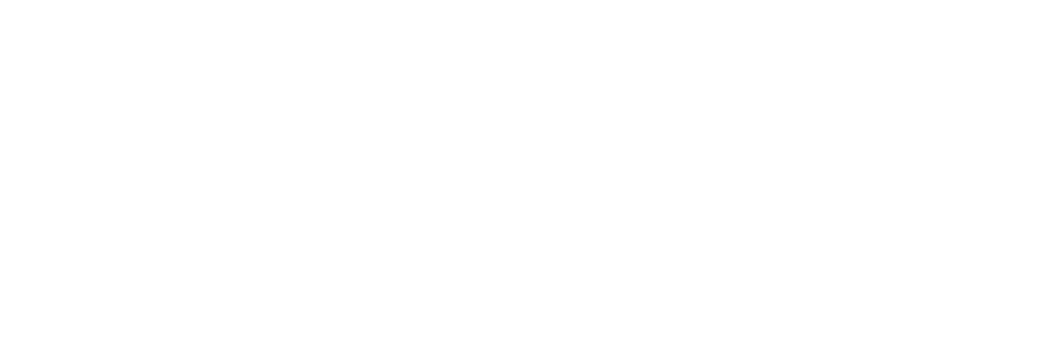 Ann Adams