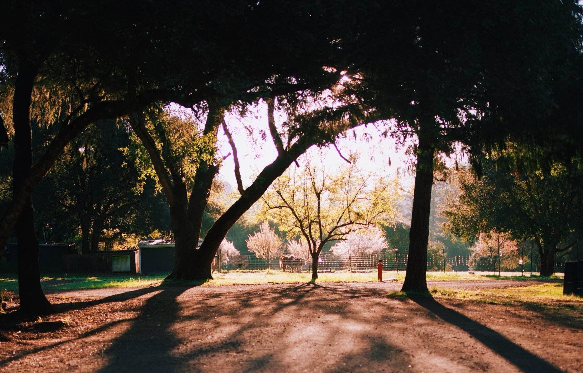 The Land